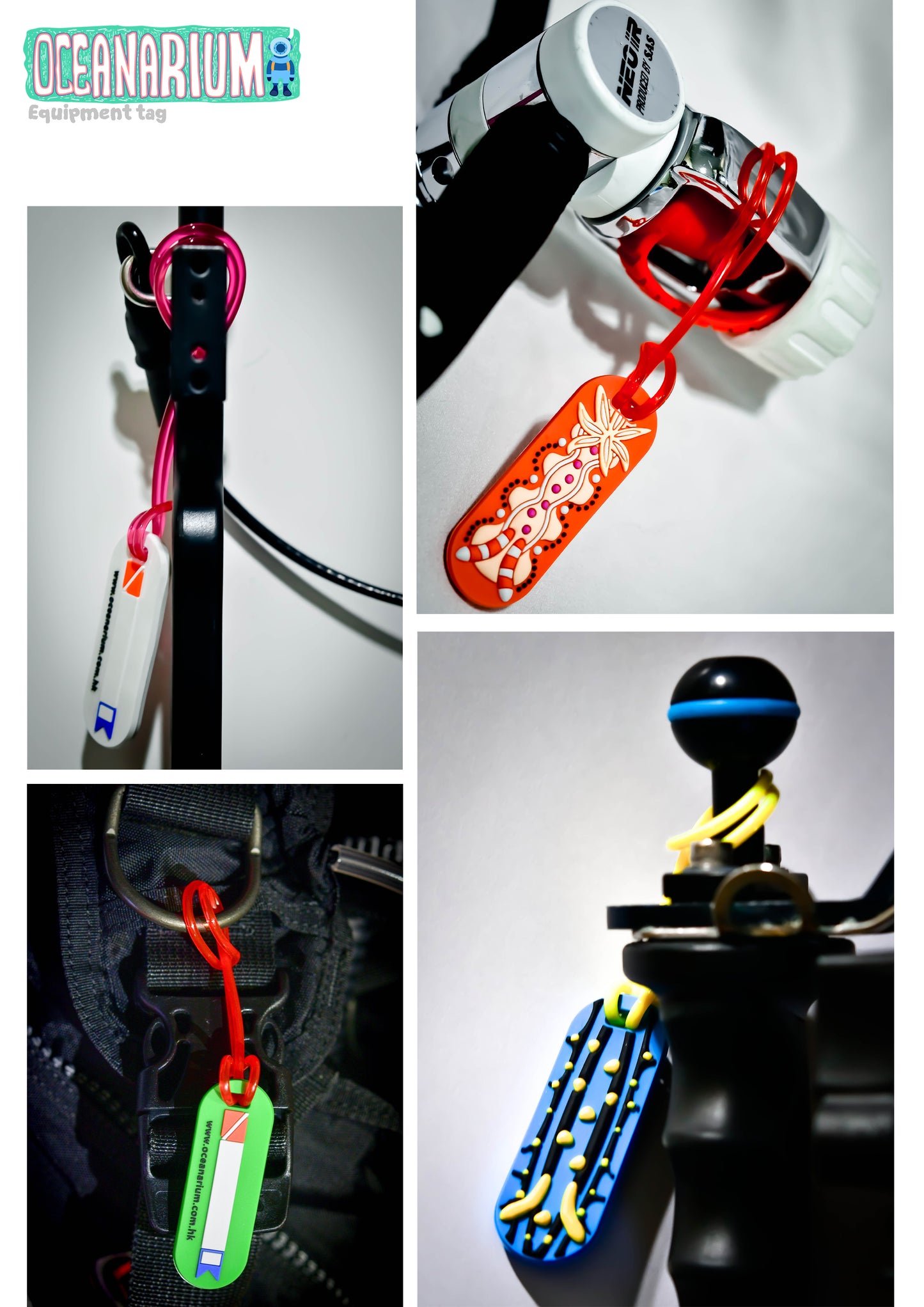 Oceanarium Nudibranch Equipment Tags