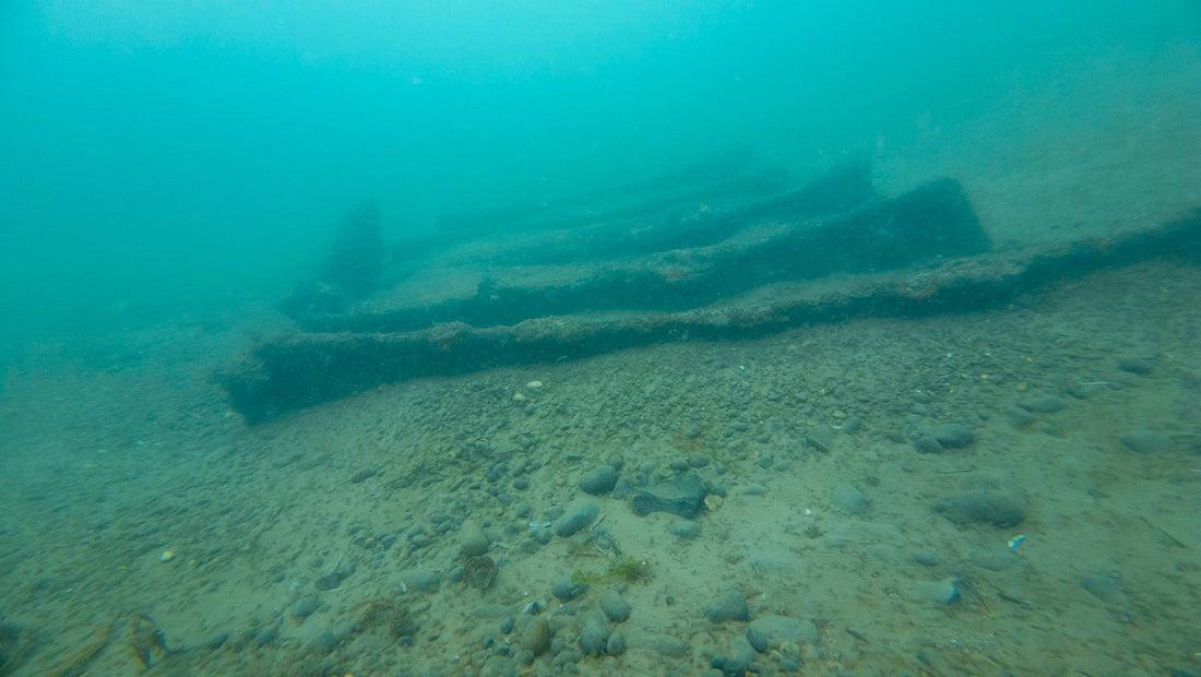 Come and dive North Norfolk with us - Saturday 20th September 2025
