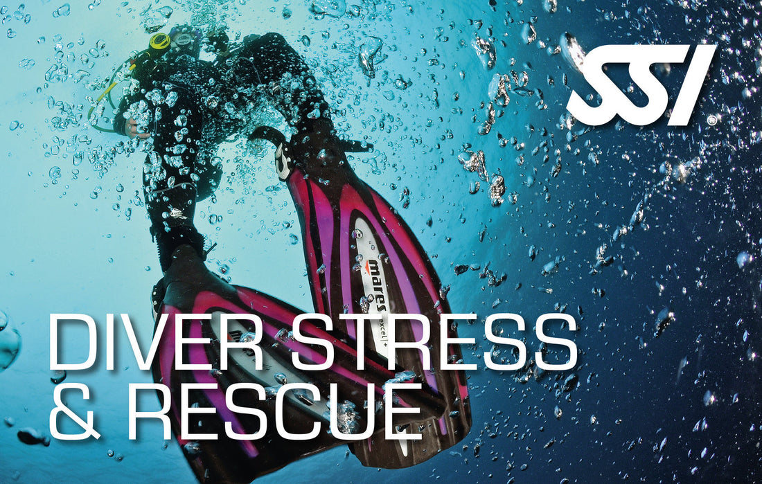 Stress and Rescue - Beginning 1st September 2026