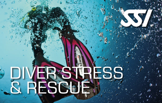 Stress and Rescue - Beginning 1st September 2026