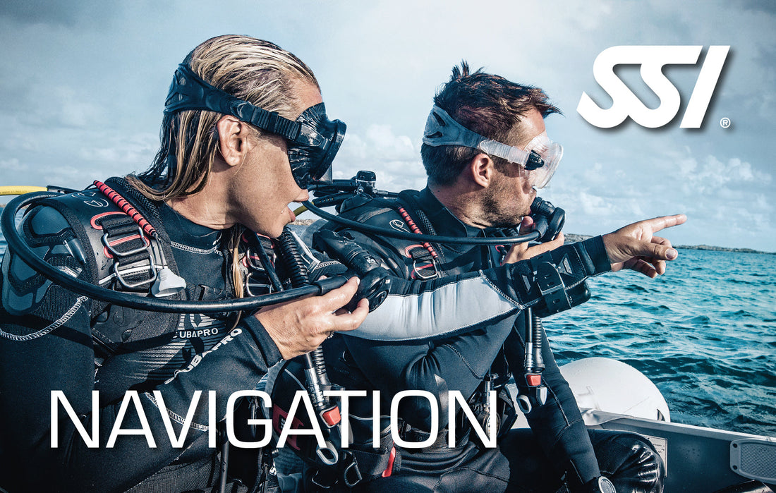 Navigation Diver - 16th or 17th May 2026