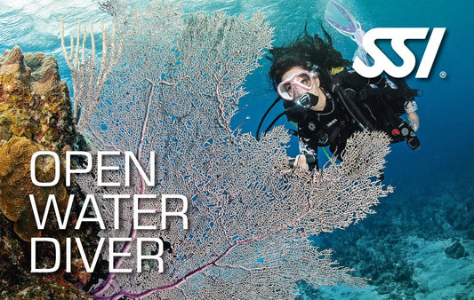 Open Water Diver - Starting 2nd September