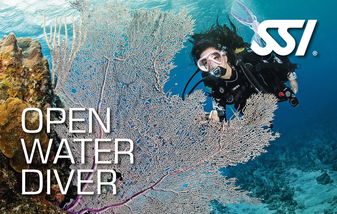 Open Water Diver - Starting 3rd February 2026