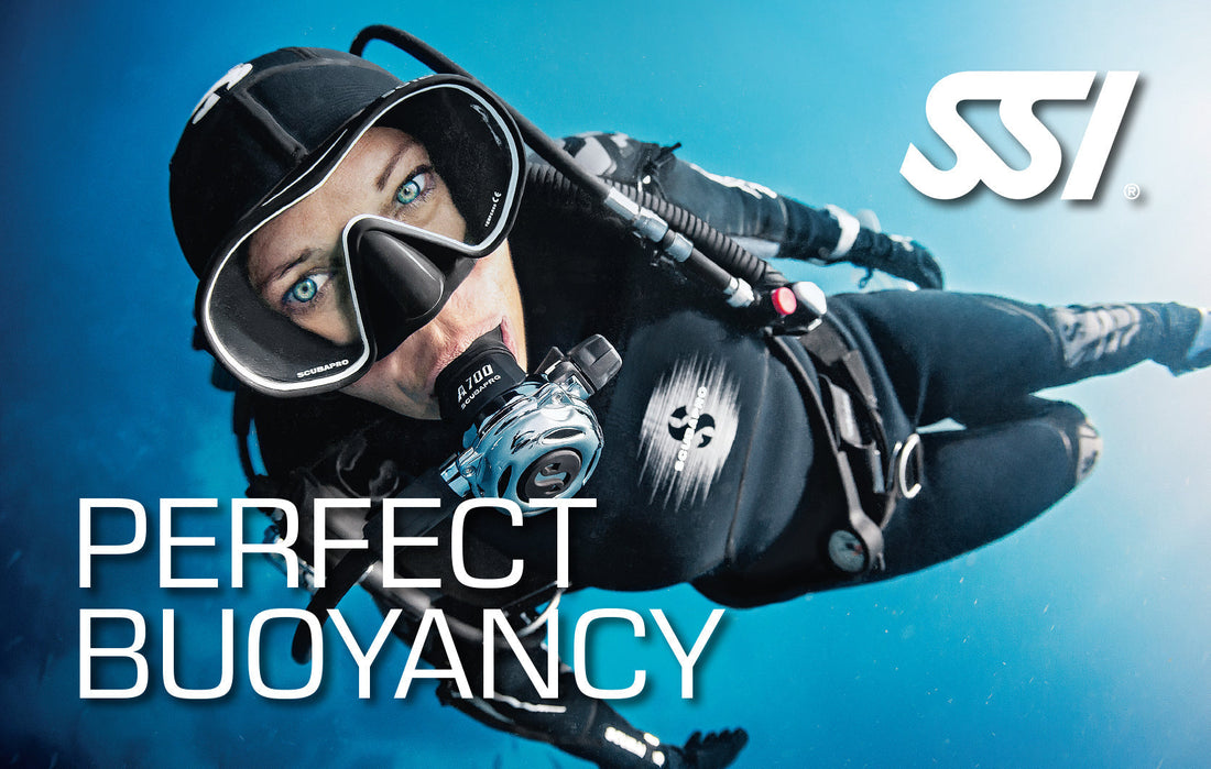 Perfect Buoyancy 12th and 19th May 2026