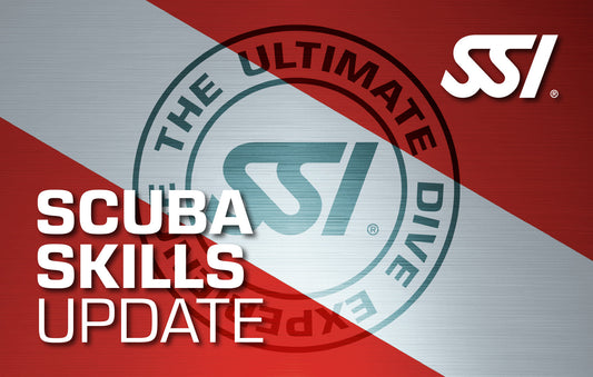 Scuba Skill Update - 27th january 2026