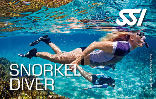 Snorkel Diver - 24th March 2026