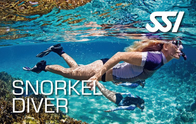 Snorkel Diver - 25th August 2026
