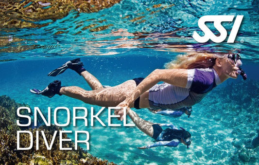 Snorkel Diver - Tuesday 23rd June 2026