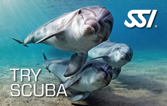 Try Scuba - 25th August 2026