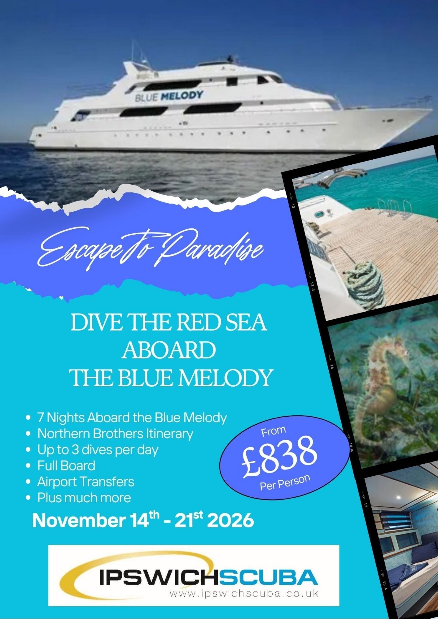 Egypt Liveaboard November 2026