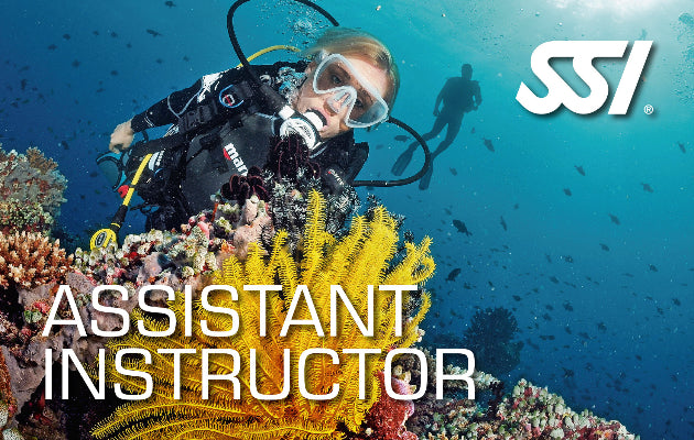 SSI Assistant Instructor